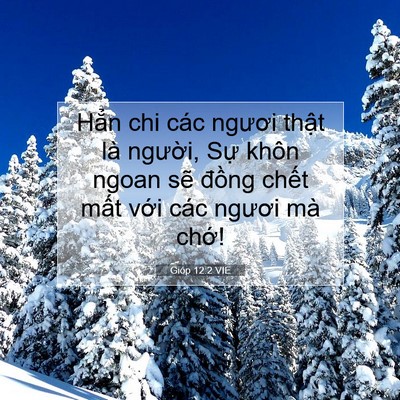 Picture 07 - Gióp 12:2 VIE - Hẳn chi các ngươi thật là người, Sự - Bible Verse Picture