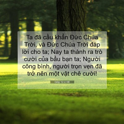 Picture 07 - Gióp 12:4 VIE - Ta đã cầu khẩn Đức Chúa Trời, và - Bible Verse Picture