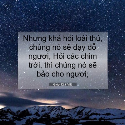 Picture 07 - Gióp 12:7 VIE - Nhưng khá hỏi loài thú, chúng nó sẽ - Bible Verse Picture