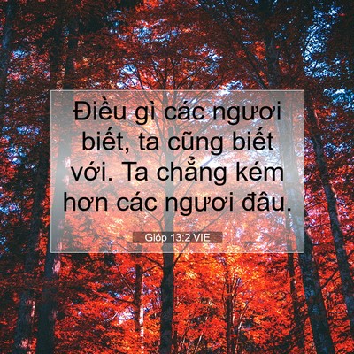 Picture 07 - Gióp 13:2 VIE - Điều gì các ngươi biết, ta cũng biết - Bible Verse Picture