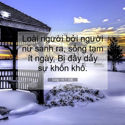 Picture 07 - Gióp 14:1 VIE - Loài người bởi người nữ sanh ra, - Bible Verse Picture