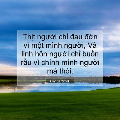 Picture 07 - Gióp 14:22 VIE - Thịt người chỉ đau đớn vì một mình - Bible Verse Picture