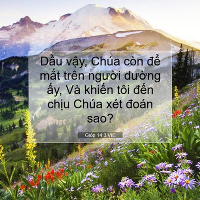 Picture 07 - Gióp 14:3 VIE - Dầu vậy, Chúa còn để mắt trên - Bible Verse Picture