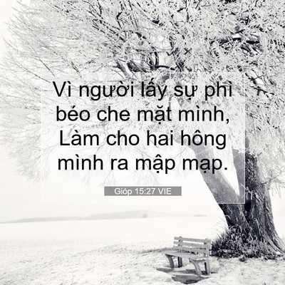 Picture 07 - Gióp 15:27 VIE - Vì người lấy sự phì béo che mặt - Bible Verse Picture