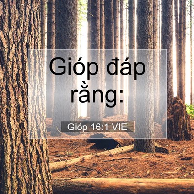 Picture 07 - Gióp 16:1 VIE - Gióp đáp - Bible Verse Picture