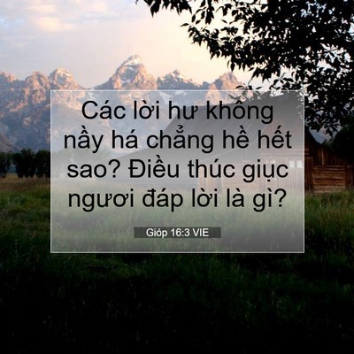 Picture 07 - Gióp 16:3 VIE - Các lời hư không nầy há chẳng hề - Bible Verse Picture