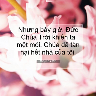 Picture 07 - Gióp 16:7 VIE - Nhưng bây giờ, Đức Chúa Trời khiến ta - Bible Verse Picture