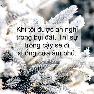 Picture 07 - Gióp 17:16 VIE - Khi tôi được an nghỉ trong bụi đất, - Bible Verse Picture