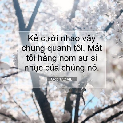 Picture 07 - Gióp 17:2 VIE - Kẻ cười nhạo vây chung quanh tôi, Mắt - Bible Verse Picture