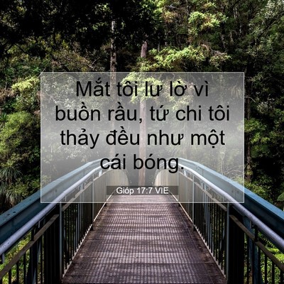 Picture 07 - Gióp 17:7 VIE - Mắt tôi lư lờ vì buồn rầu, tứ chi - Bible Verse Picture