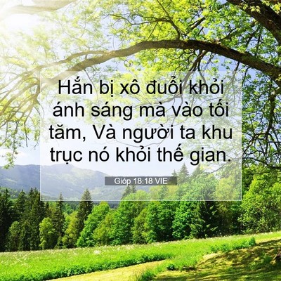 Picture 07 - Gióp 18:18 VIE - Hắn bị xô đuổi khỏi ánh sáng mà vào - Bible Verse Picture