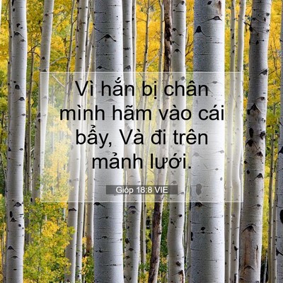 Picture 07 - Gióp 18:8 VIE - Vì hắn bị chân mình hãm vào cái bẩy, - Bible Verse Picture