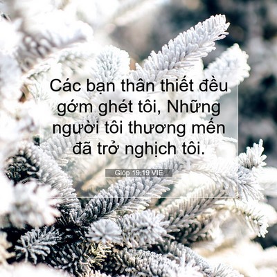 Picture 07 - Gióp 19:19 VIE - Các bạn thân thiết đều gớm ghét tôi, - Bible Verse Picture