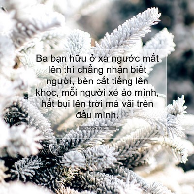 Picture 07 - Gióp 2:12 VIE - Ba bạn hữu ở xa ngước mắt lên thì - Bible Verse Picture