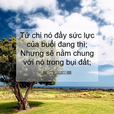 Picture 07 - Gióp 20:11 VIE - Tứ chi nó đầy sức lực của buổi - Bible Verse Picture