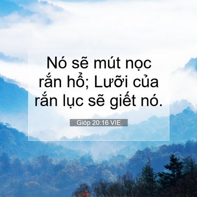 Picture 07 - Gióp 20:16 VIE - Nó sẽ mút nọc rắn hổ; Lưỡi của - Bible Verse Picture