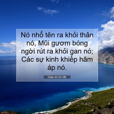 Picture 07 - Gióp 20:25 VIE - Nó nhổ tên ra khỏi thân nó, Mũi gươm - Bible Verse Picture