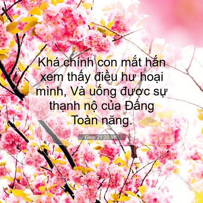 Picture 07 - Gióp 21:20 VIE - Khá chính con mắt hắn xem thấy điều - Bible Verse Picture
