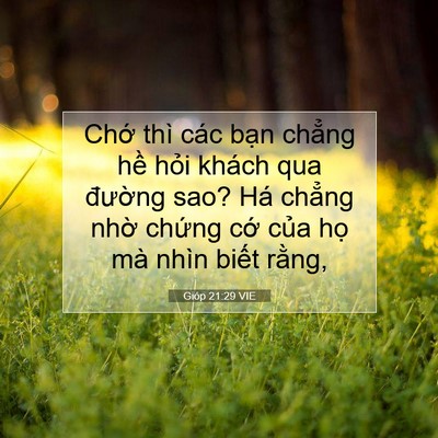 Picture 07 - Gióp 21:29 VIE - Chớ thì các bạn chẳng hề hỏi khách - Bible Verse Picture