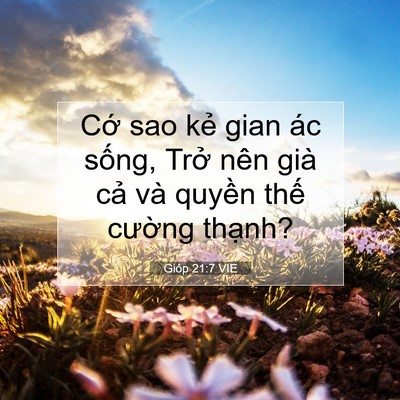 Picture 07 - Gióp 21:7 VIE - Cớ sao kẻ gian ác sống, Trở nên già - Bible Verse Picture