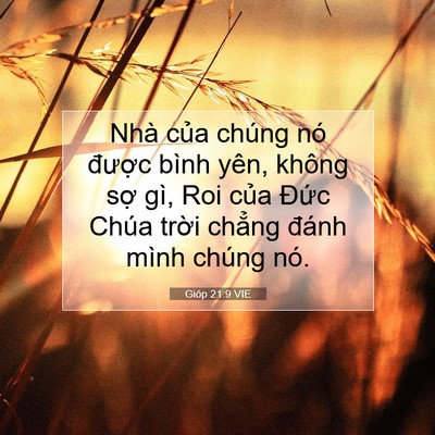 Picture 07 - Gióp 21:9 VIE - Nhà của chúng nó được bình yên, không - Bible Verse Picture