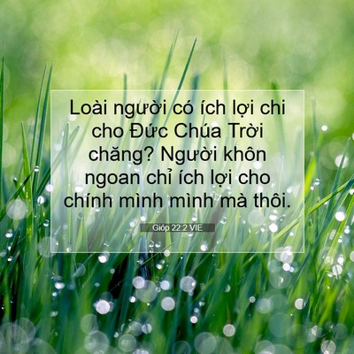 Picture 07 - Gióp 22:2 VIE - Loài người có ích lợi chi cho Đức - Bible Verse Picture