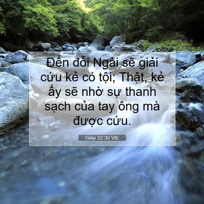 Picture 07 - Gióp 22:30 VIE - Đến đỗi Ngài sẽ giải cứu kẻ có - Bible Verse Picture