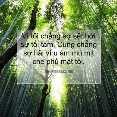 Picture 07 - Gióp 23:17 VIE - Vì tôi chẳng sợ sệt bởi sự tối - Bible Verse Picture