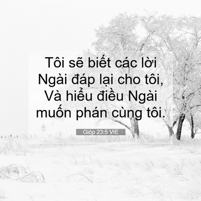Picture 07 - Gióp 23:5 VIE - Tôi sẽ biết các lời Ngài đáp lại cho - Bible Verse Picture
