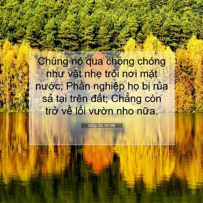 Picture 07 - Gióp 24:18 VIE - Chúng nó qua chong chóng như vật nhẹ - Bible Verse Picture