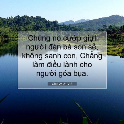 Picture 07 - Gióp 24:21 VIE - Chúng nó cướp giựt người đàn bà son - Bible Verse Picture