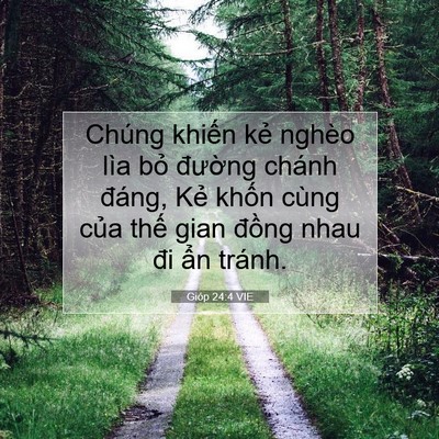 Picture 07 - Gióp 24:4 VIE - Chúng khiến kẻ nghèo lìa bỏ đường - Bible Verse Picture