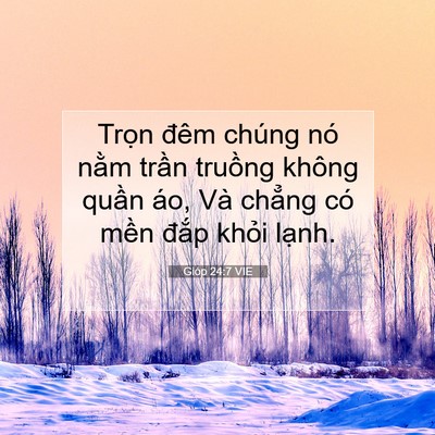 Picture 07 - Gióp 24:7 VIE - Trọn đêm chúng nó nằm trần truồng - Bible Verse Picture