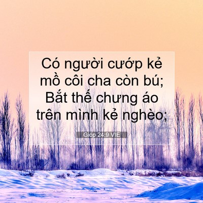 Picture 07 - Gióp 24:9 VIE - Có người cướp kẻ mồ côi cha còn bú; - Bible Verse Picture