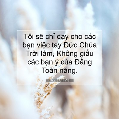 Picture 07 - Gióp 27:11 VIE - Tôi sẽ chỉ dạy cho các bạn việc tay - Bible Verse Picture
