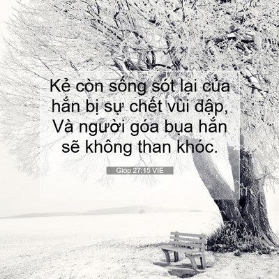 Picture 07 - Gióp 27:15 VIE - Kẻ còn sống sót lại của hắn bị sự - Bible Verse Picture
