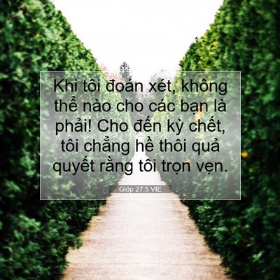 Picture 07 - Gióp 27:5 VIE - Khi tôi đoán xét, không thể nào cho các - Bible Verse Picture