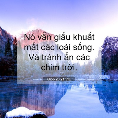 Picture 07 - Gióp 28:21 VIE - Nó vẫn giấu khuất mắt các loài sống. - Bible Verse Picture
