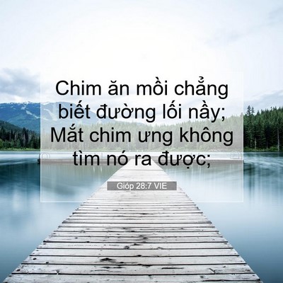 Picture 07 - Gióp 28:7 VIE - Chim ăn mồi chẳng biết đường lối - Bible Verse Picture