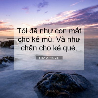 Picture 07 - Gióp 29:15 VIE - Tôi đã như con mắt cho kẻ mù, Và như - Bible Verse Picture