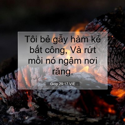 Picture 07 - Gióp 29:17 VIE - Tôi bẻ gẫy hàm kẻ bất công, Và rứt - Bible Verse Picture
