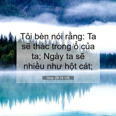Picture 07 - Gióp 29:18 VIE - Tôi bèn nói rằng: Ta sẽ thác trong ổ - Bible Verse Picture