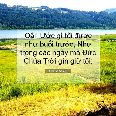 Picture 07 - Gióp 29:2 VIE - Oâi! Ước gì tôi được như buổi - Bible Verse Picture