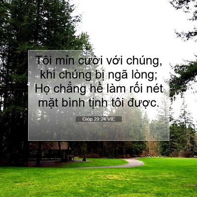 Picture 07 - Gióp 29:24 VIE - Tôi mỉn cười với chúng, khi chúng bị - Bible Verse Picture