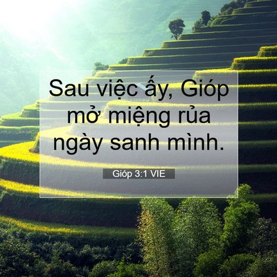 Picture 07 - Gióp 3:1 VIE - Sau việc ấy, Gióp mở miệng rủa ngày - Bible Verse Picture