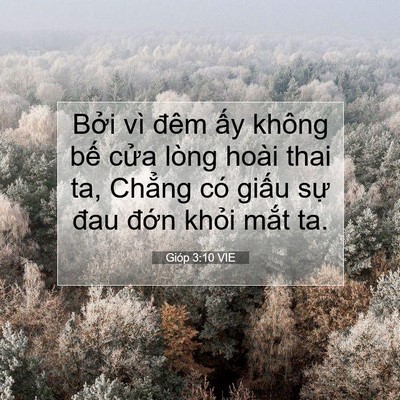 Picture 07 - Gióp 3:10 VIE - Bởi vì đêm ấy không bế cửa lòng - Bible Verse Picture