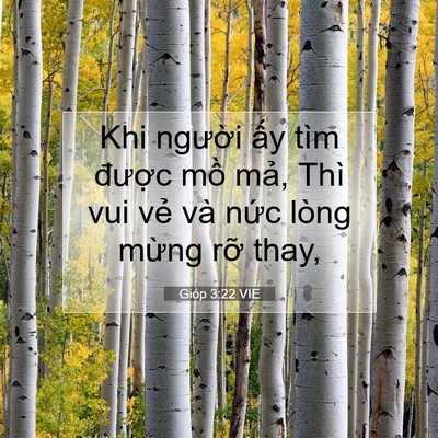 Picture 07 - Gióp 3:22 VIE - Khi người ấy tìm được mồ mả, Thì - Bible Verse Picture