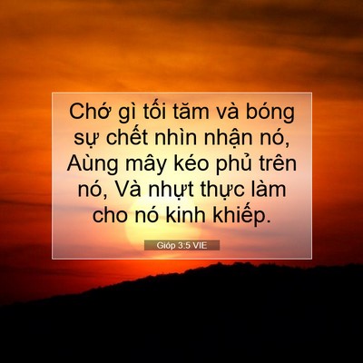 Picture 07 - Gióp 3:5 VIE - Chớ gì tối tăm và bóng sự chết nhìn - Bible Verse Picture