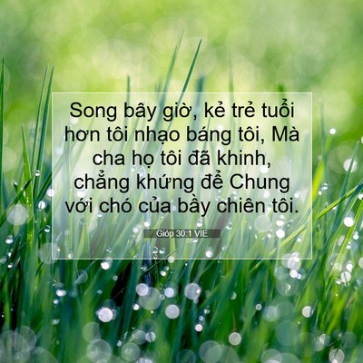 Picture 07 - Gióp 30:1 VIE - Song bây giờ, kẻ trẻ tuổi hơn tôi - Bible Verse Picture