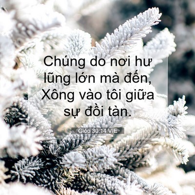 Picture 07 - Gióp 30:14 VIE - Chúng do nơi hư lũng lớn mà đến, Xông - Bible Verse Picture
